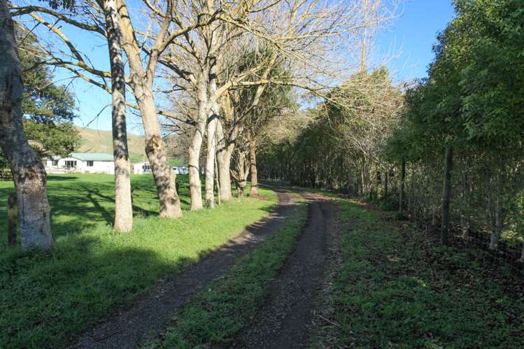 44 Matakotea Road Raglan_17