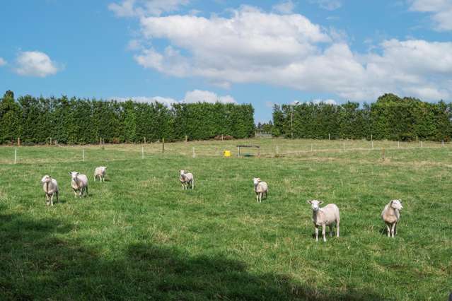 865B Oropi Road Oropi_2