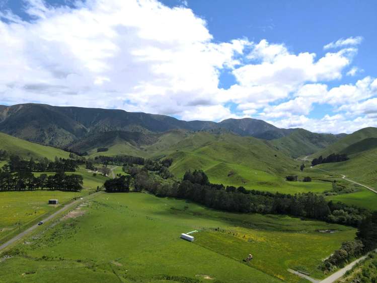 Lot Lot 1/9 Tamaki East Road Dannevirke_12