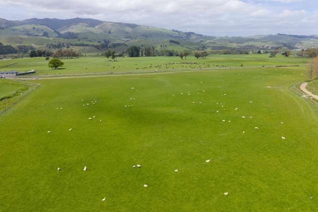 643b Pohangina Road Ashhurst_4