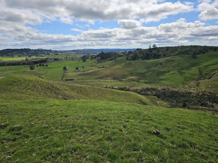 113C Marua Road Hikurangi_31