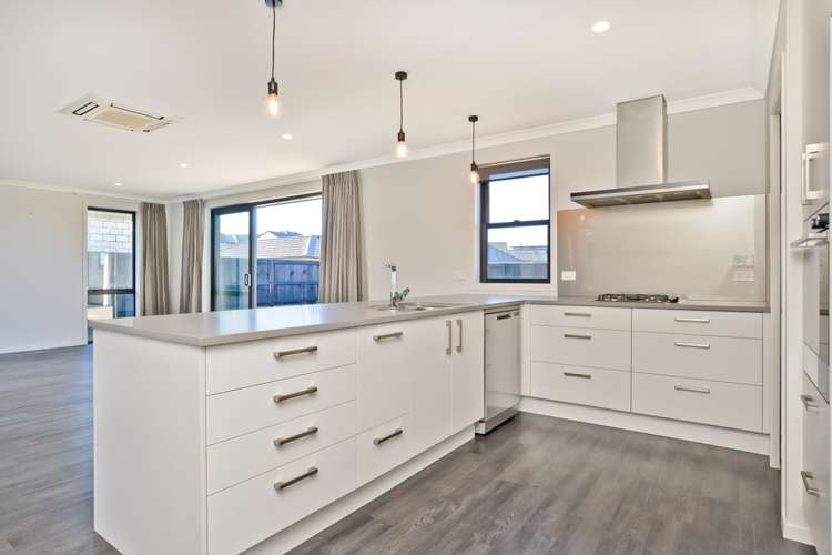 8 Vercoe Crescent Morrinsville_3