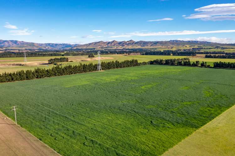 380 Waipara Flat Road Waipara_25