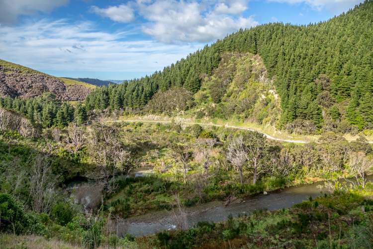 512 Mangatarere Valley Road Carterton_5