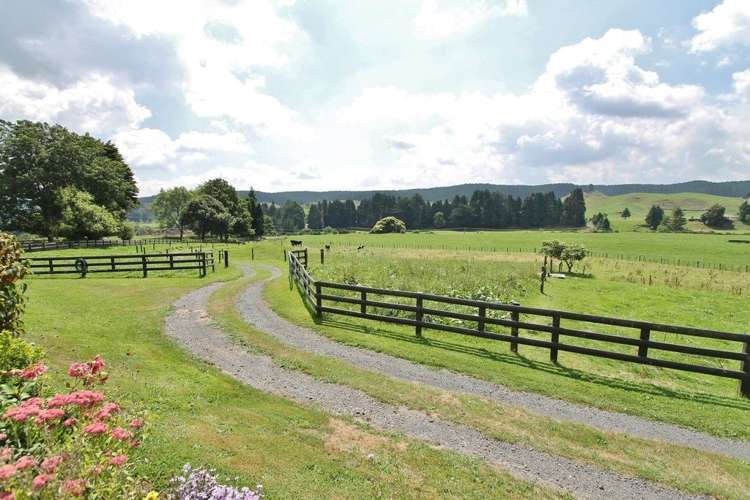 364 Mossop Road Kinleith_21