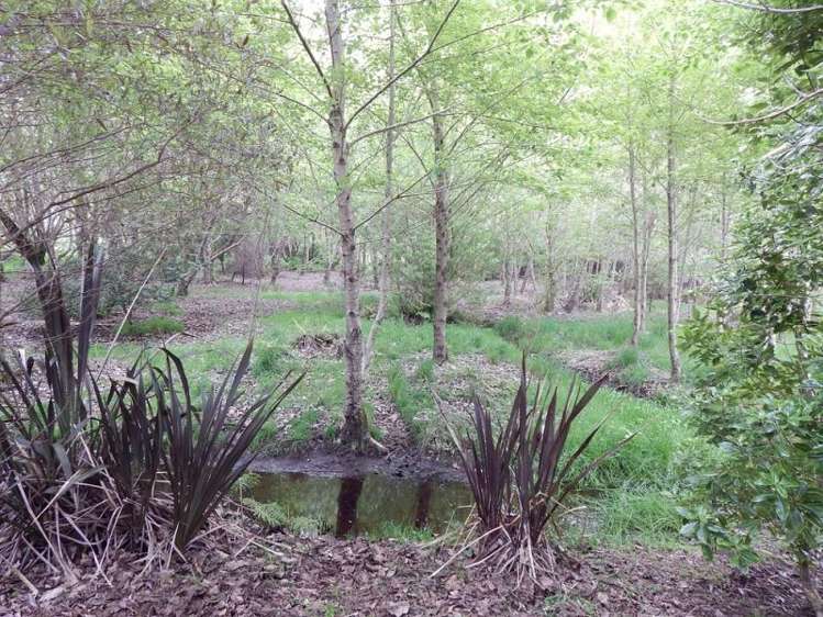 47 Lighthouse Road Cape Foulwind_4