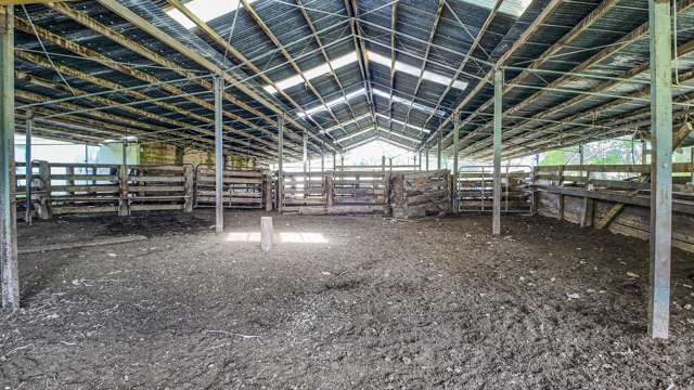 1522 Argyll Road Central Hawkes Bay Country_4