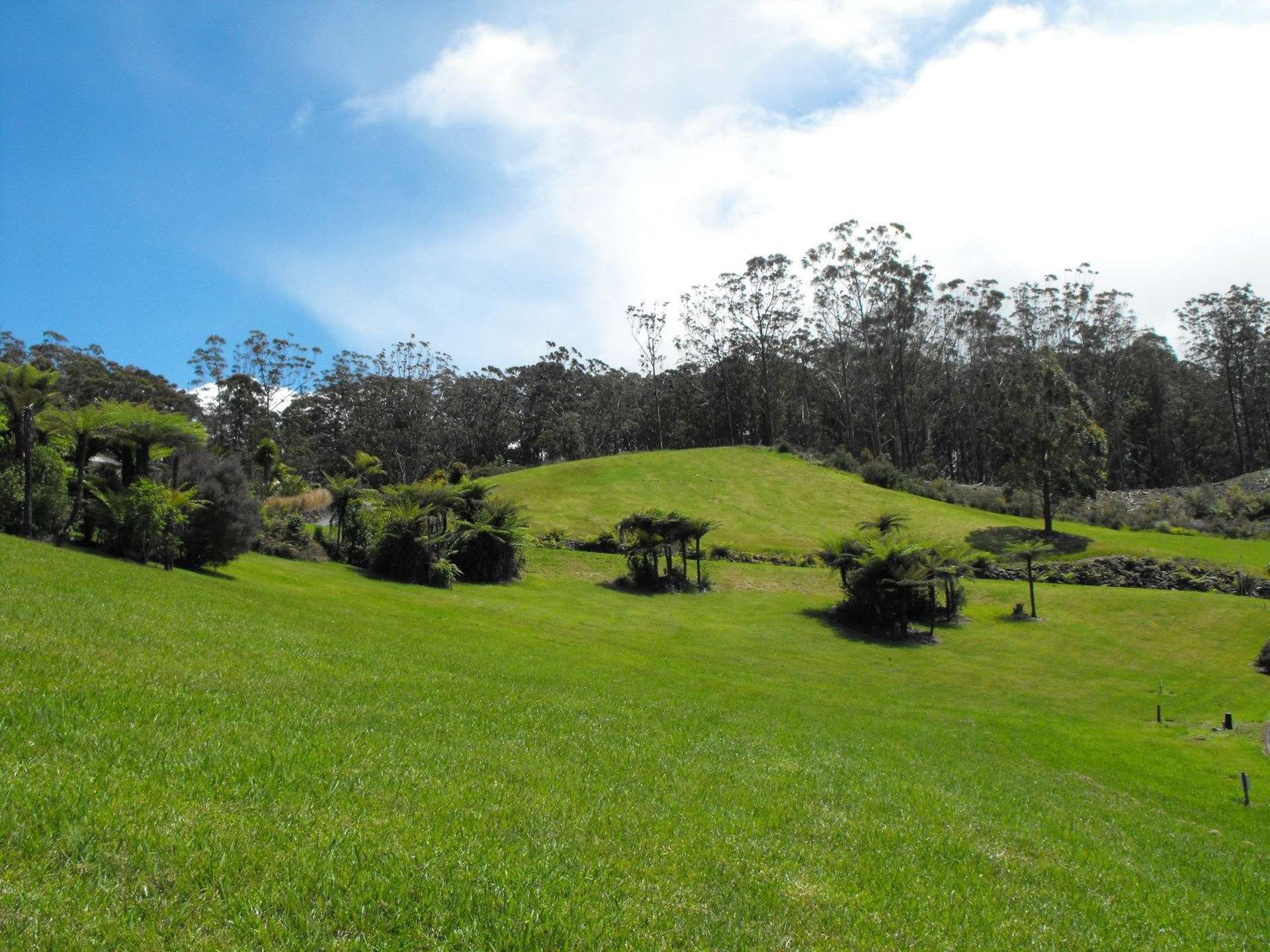 29 Alderton Drive Kerikeri_0