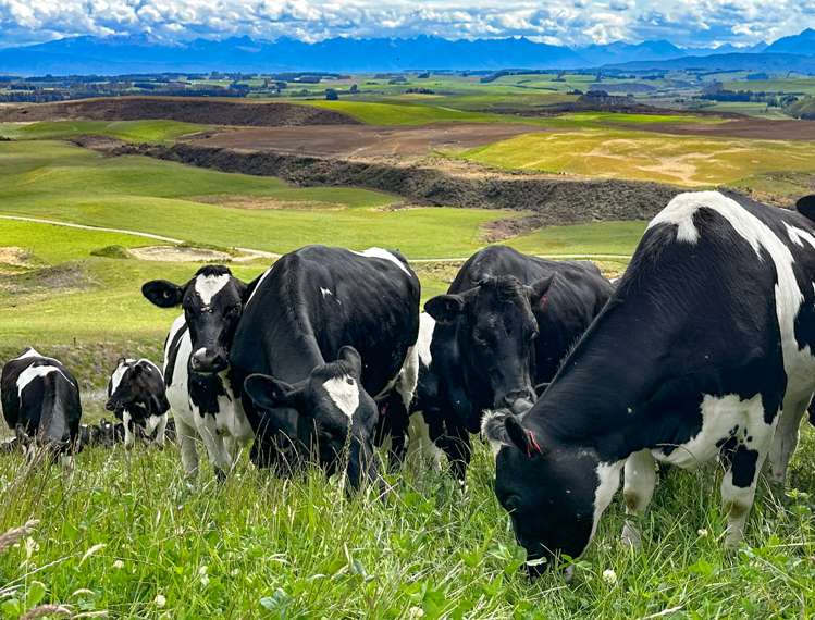 1338 Kakapo Road Te Anau Surrounds_24