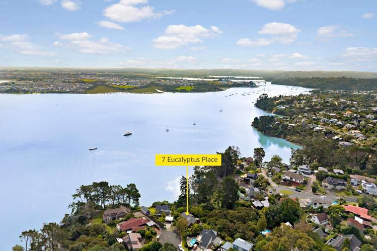 7 Eucalyptus Place Beach Haven_12