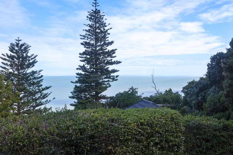 35 Patui Avenue Ngarimu Bay_15