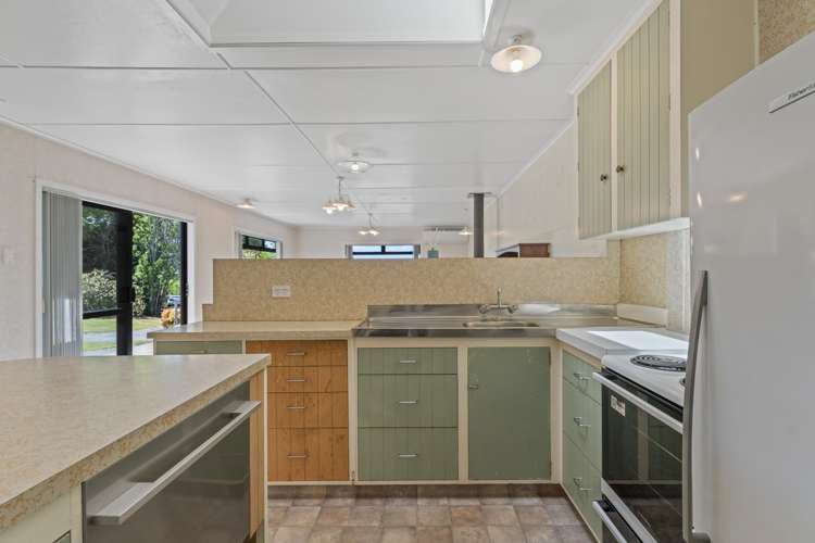 344 Palmer Mill Road Wairakei_5