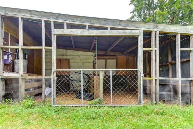 15 Kukuta Road Okoia_25