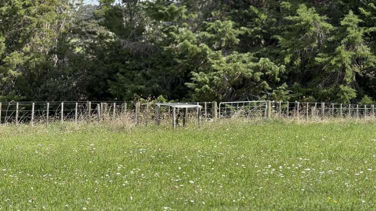 33 Signal Road Okaihau_14