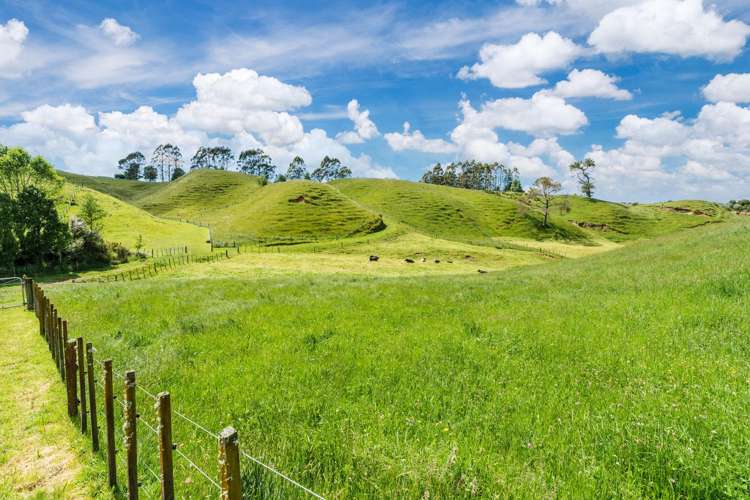 718 Oruanui Road Oruanui_26