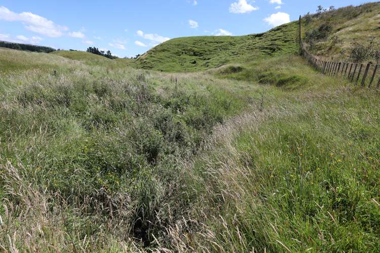 50 Highland View Drive Tokomaru_4