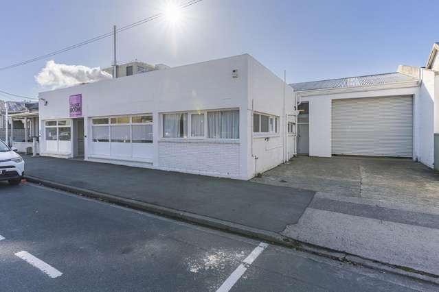 179 Albany Street North Dunedin_2