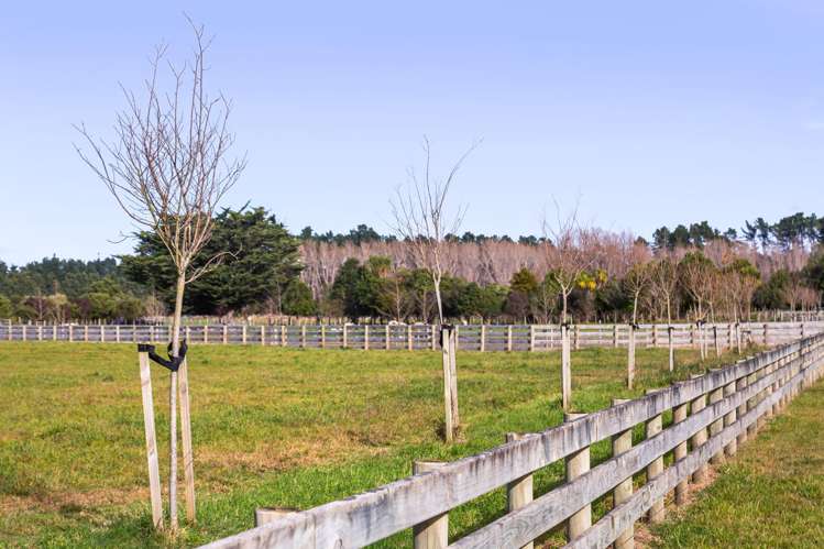 131 Underhill Road Woodside_9