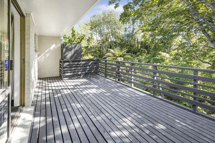 10b Waterford Road Fitzroy_12