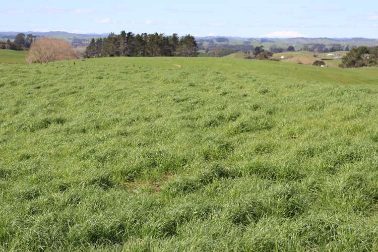 190 Lincoln Road Inglewood_7