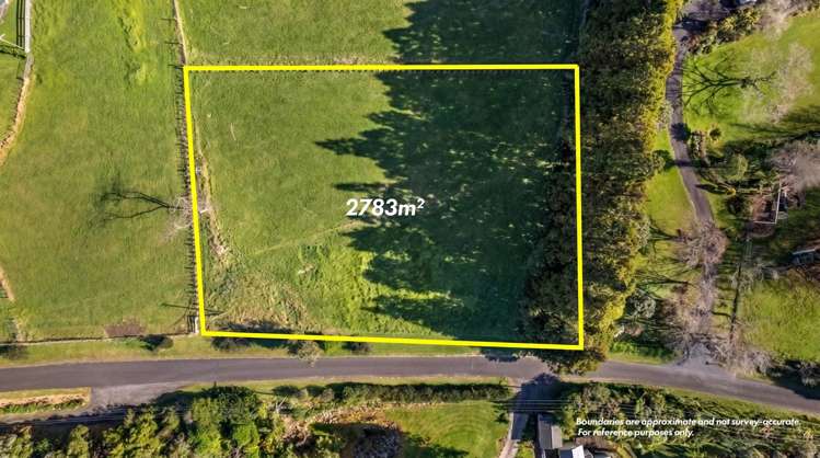 60 Saxton Road Upper Vogeltown_0