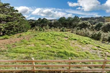 252 Mahoenui Valley Road_3