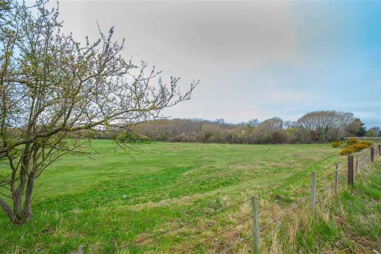 5c Buckleys Terrace Tinwald_10