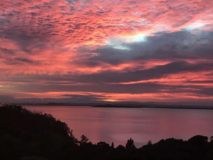 12 Otitori Bay Road Titirangi_21