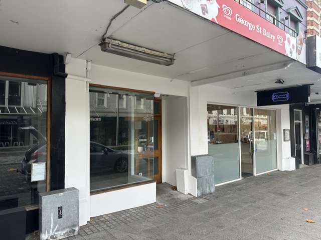 376 George Street City Centre Dunedin_1