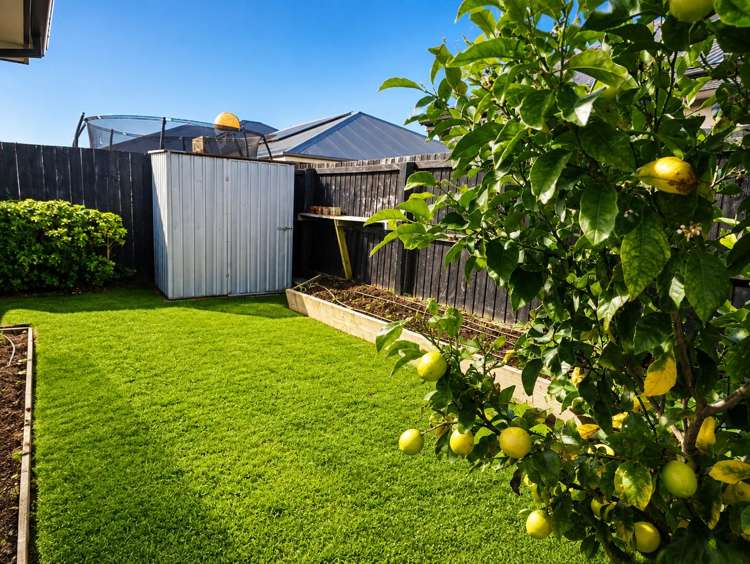 85 Kittyhawk Avenue Wigram_17