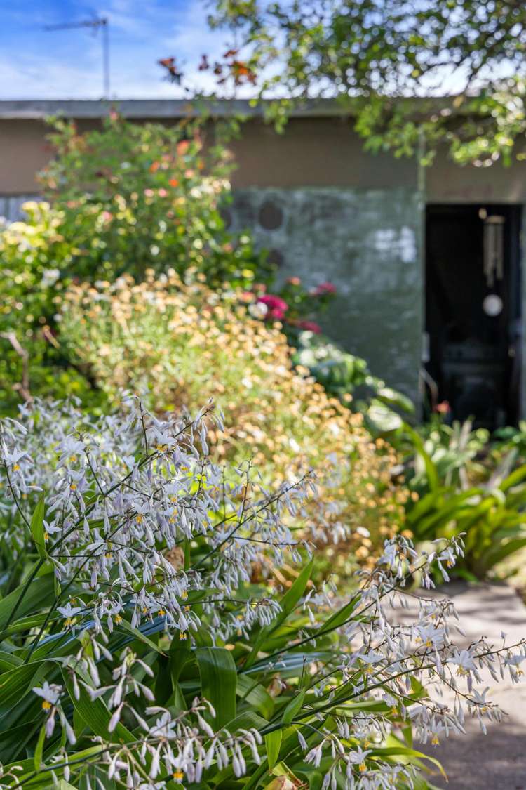 87 Aorangi Road Bryndwr_27