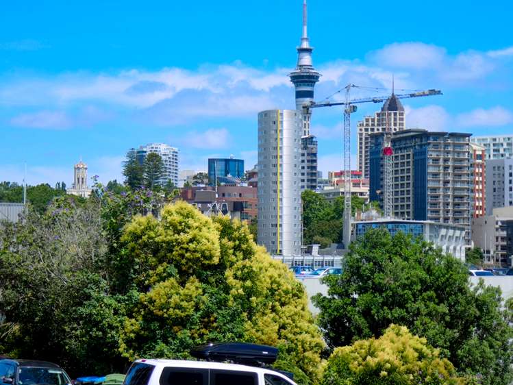 17a Augustus Terrace Parnell_14