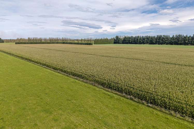 904 Dip Road Methven_14