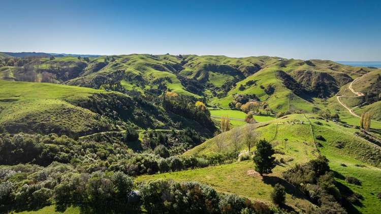 863 Puketitiri Road Puketapu_18