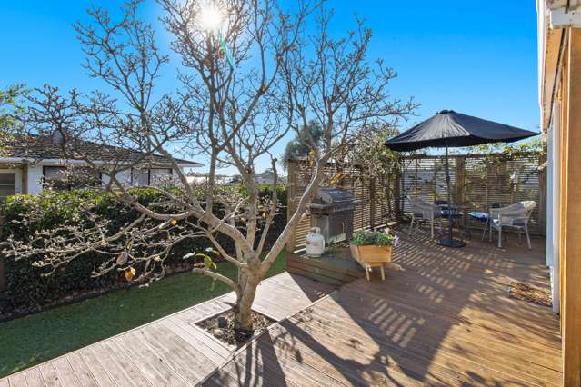 5 Smeaton Road Bell Block_1