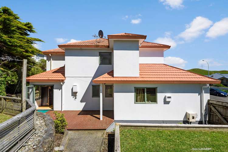 3 Morpeth Street Johnsonville_10