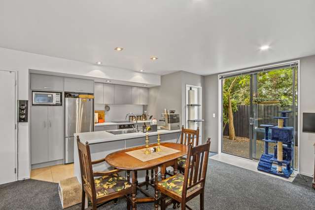 68b Southampton Street Sydenham_3