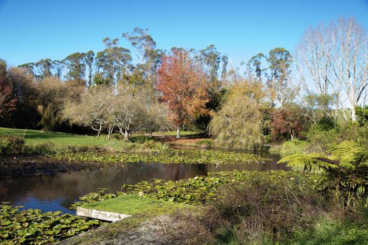 Lot 1 46 Keaney Road Ararimu_5