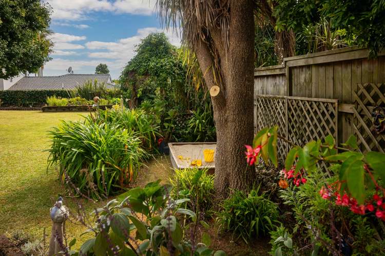 74 Lloyd Avenue Mount Albert_29