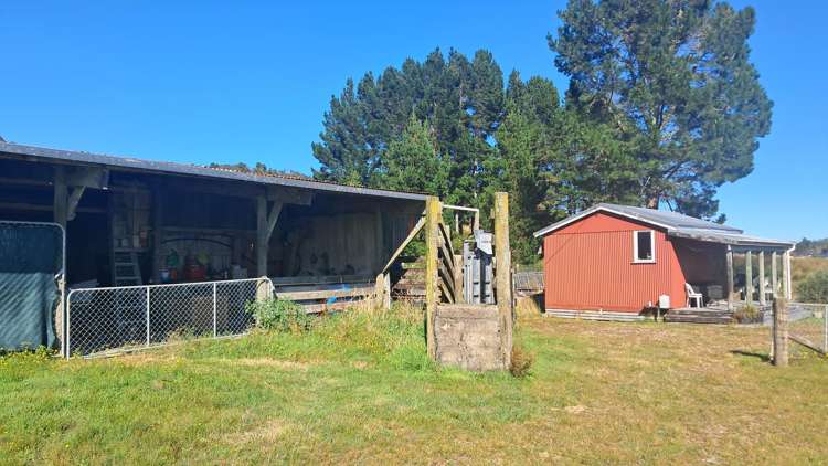 7868 Lower Buller Gorge Road Westport_16