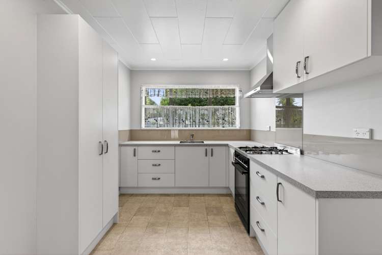 184A Vigor Brown Street Napier South_3