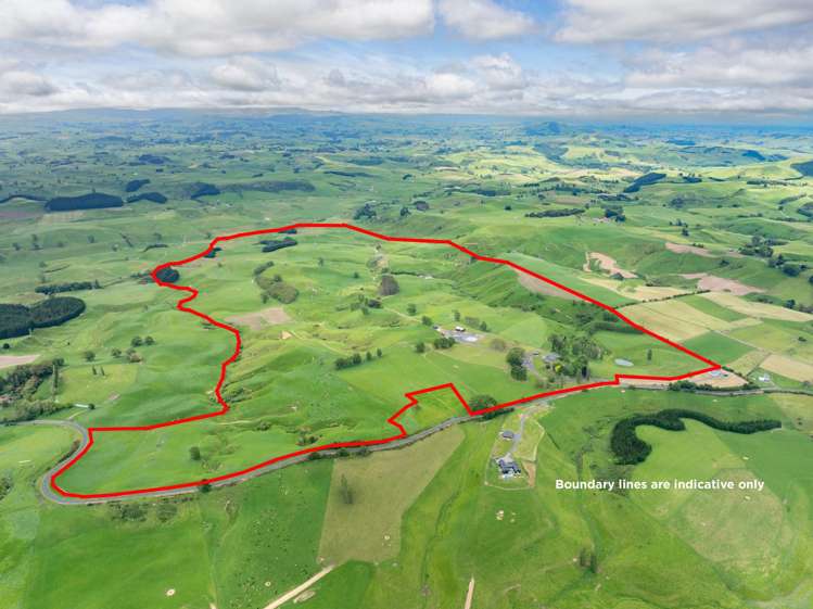196 Waimanu Road Pukeatua_29