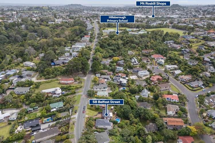 58 Belfast Street Hillsborough_18