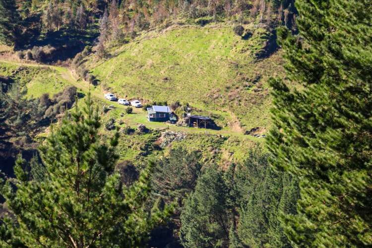 Mangahoe Road Kaitieke_3