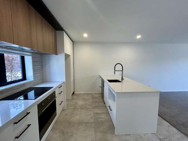 Brand new contemporary home