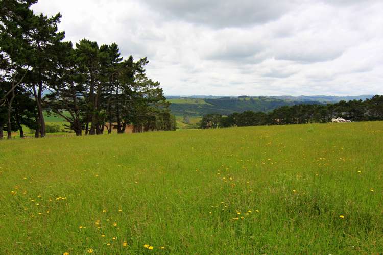 443b Murray Road Pukekawa_5