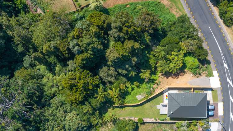 40a Parsons Street Vogeltown_9