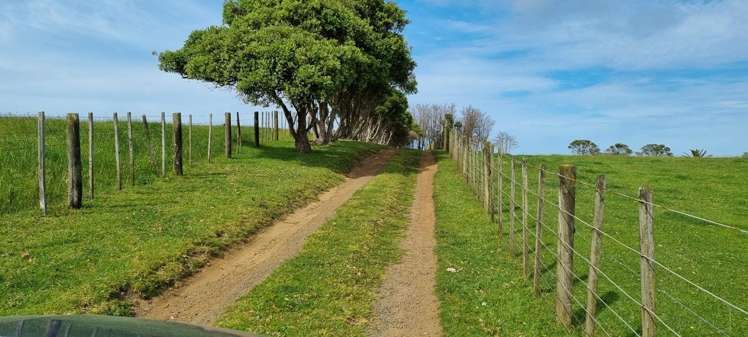 1265 Babylon Coast Road, Mamaranui Dargaville_11