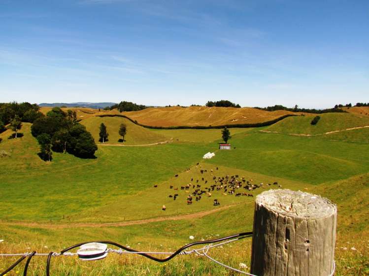 1840 Manawahe Road Manawahe_16