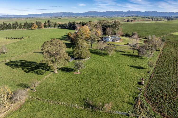180 Ngaruru Road Ongaonga_26